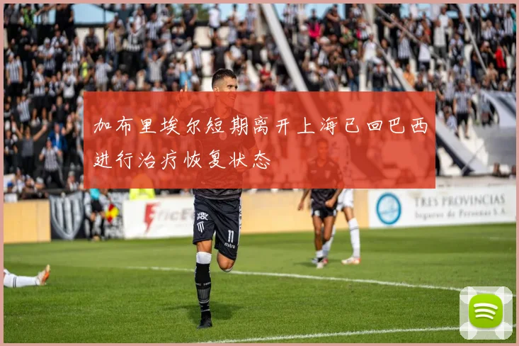 加布里埃尔短期离开上海已回巴西进行治疗恢复状态