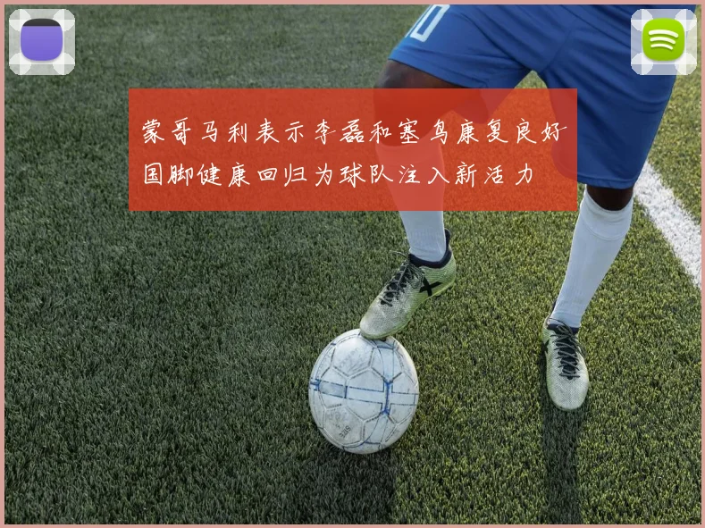 蒙哥马利表示李磊和塞鸟康复良好国脚健康回归为球队注入新活力